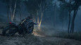 Days Gone picture11