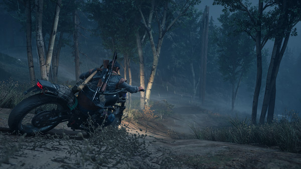 Скриншот из Days Gone