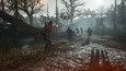 Days Gone picture5