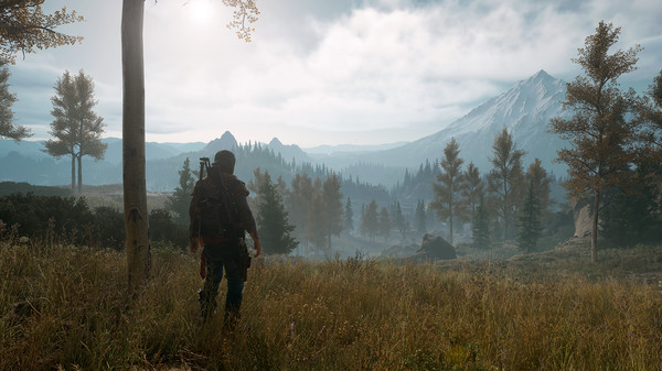 Скриншот из Days Gone