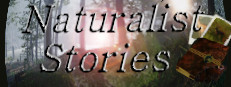Naturalist Stories 게임 이미지