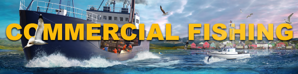 Save 80% on Fishing: North Atlantic - Enhanced Edition on Steam