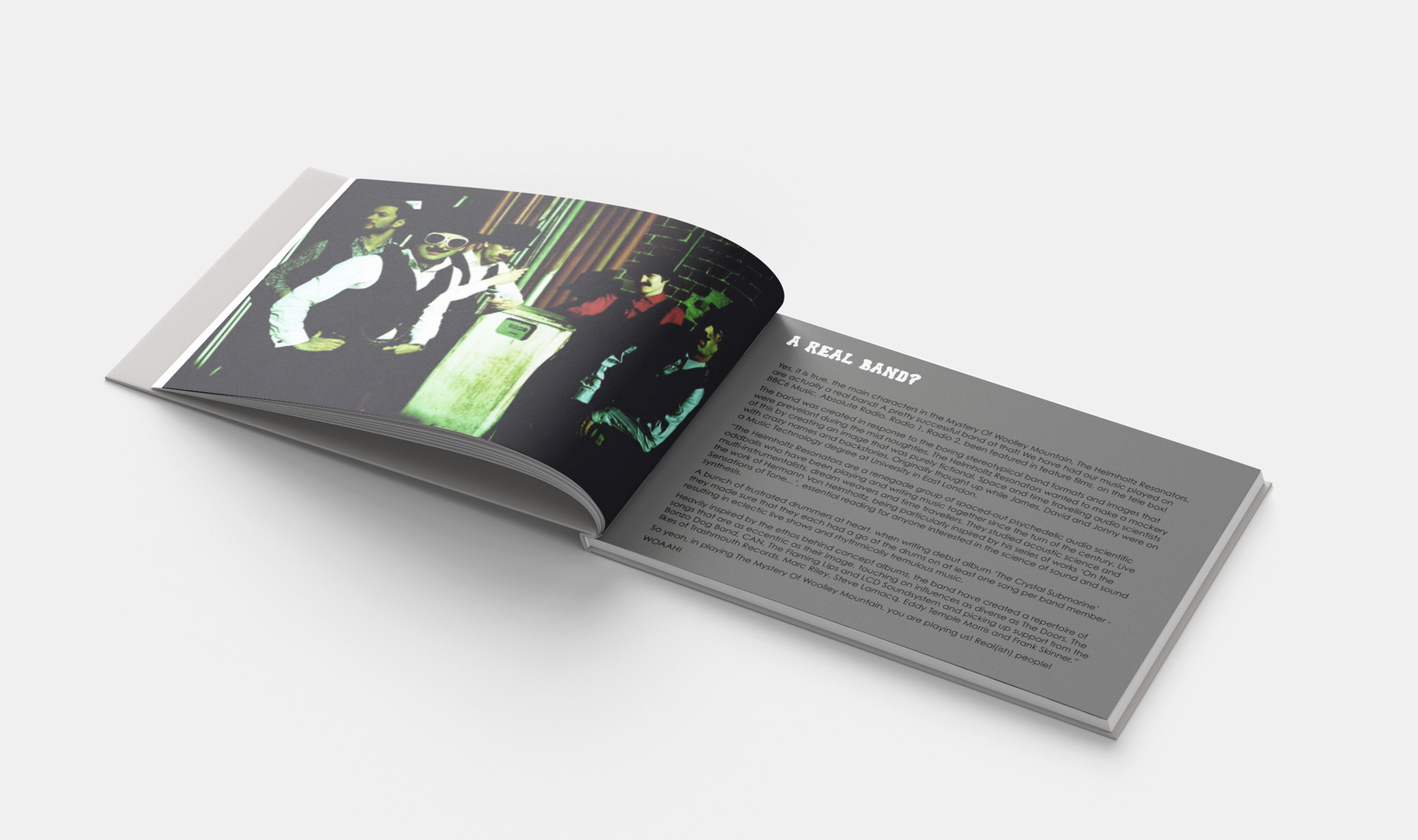 The Mystery Of Woolley Mountain  - Art Book #6