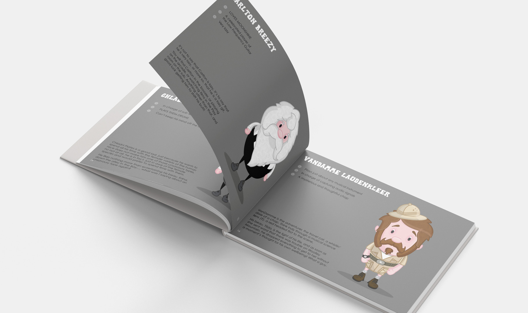 The Mystery Of Woolley Mountain  - Art Book #4