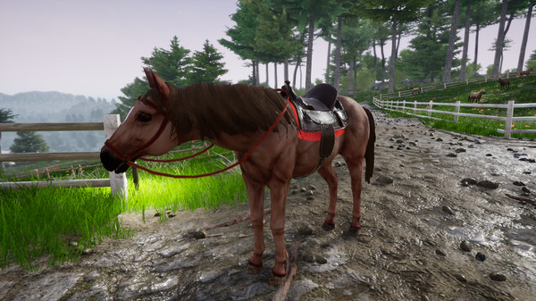 Horse Riding Deluxe 2for windows and Linux 1