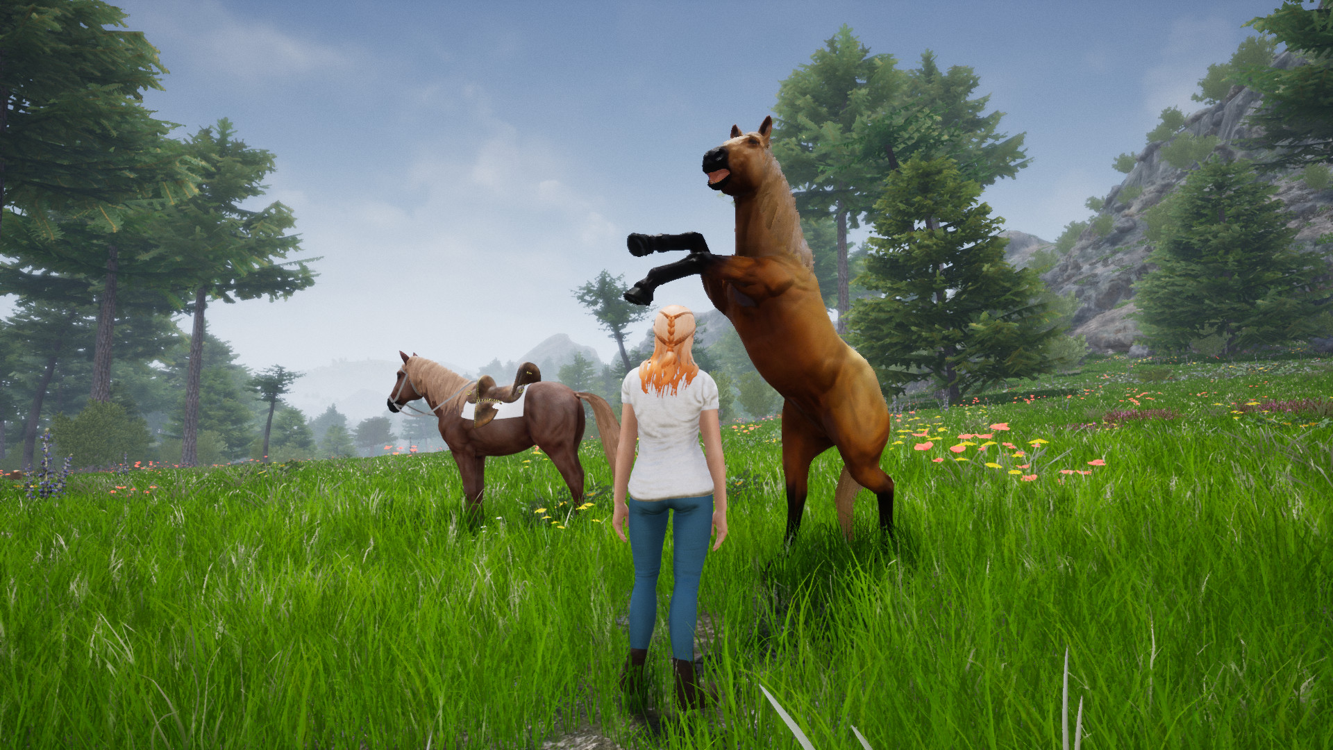 Игра horses 2. Хорс Ридинг Делюкс. Horse riding Deluxe 2. Дилогия Horse riding Deluxe. Игра симулятор лошади.