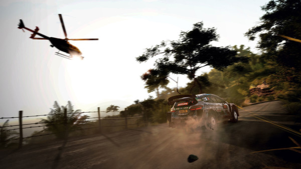 Скриншот из WRC 9 FIA World Rally Championship