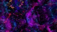 Cosmic Flow - Supporter Badge DLC