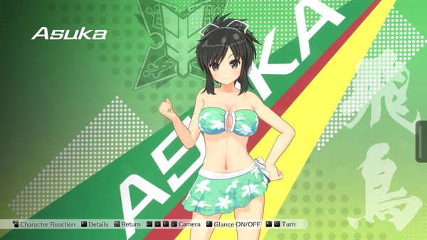 скриншот Kandagawa Jet Girls - Yumi & Asuka Character Set (SENRAN KAGURA) 0