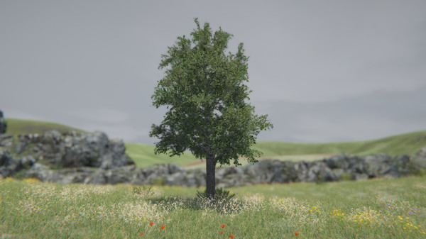 скриншот Tree Simulator 2021 3