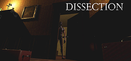 Dissection steam charts