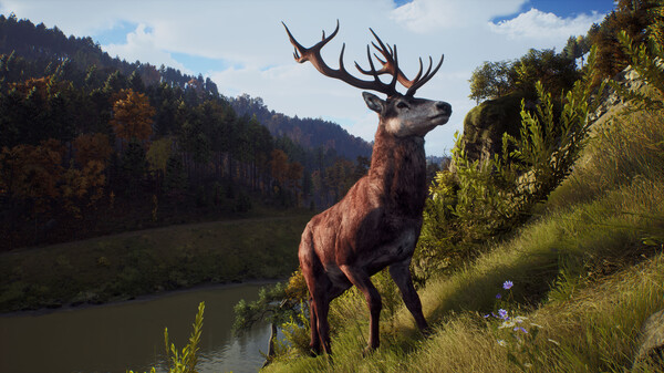 Captura de tela do jogo - Imagem 2