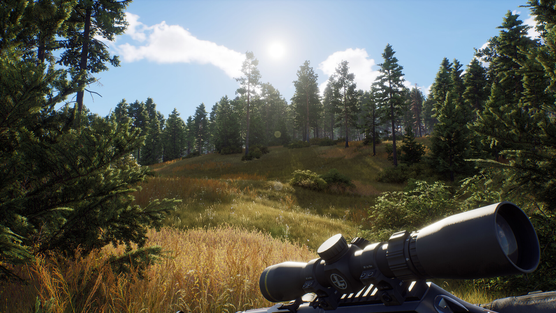 Save 85% on theHunter: Call of the Wild™ on Steam