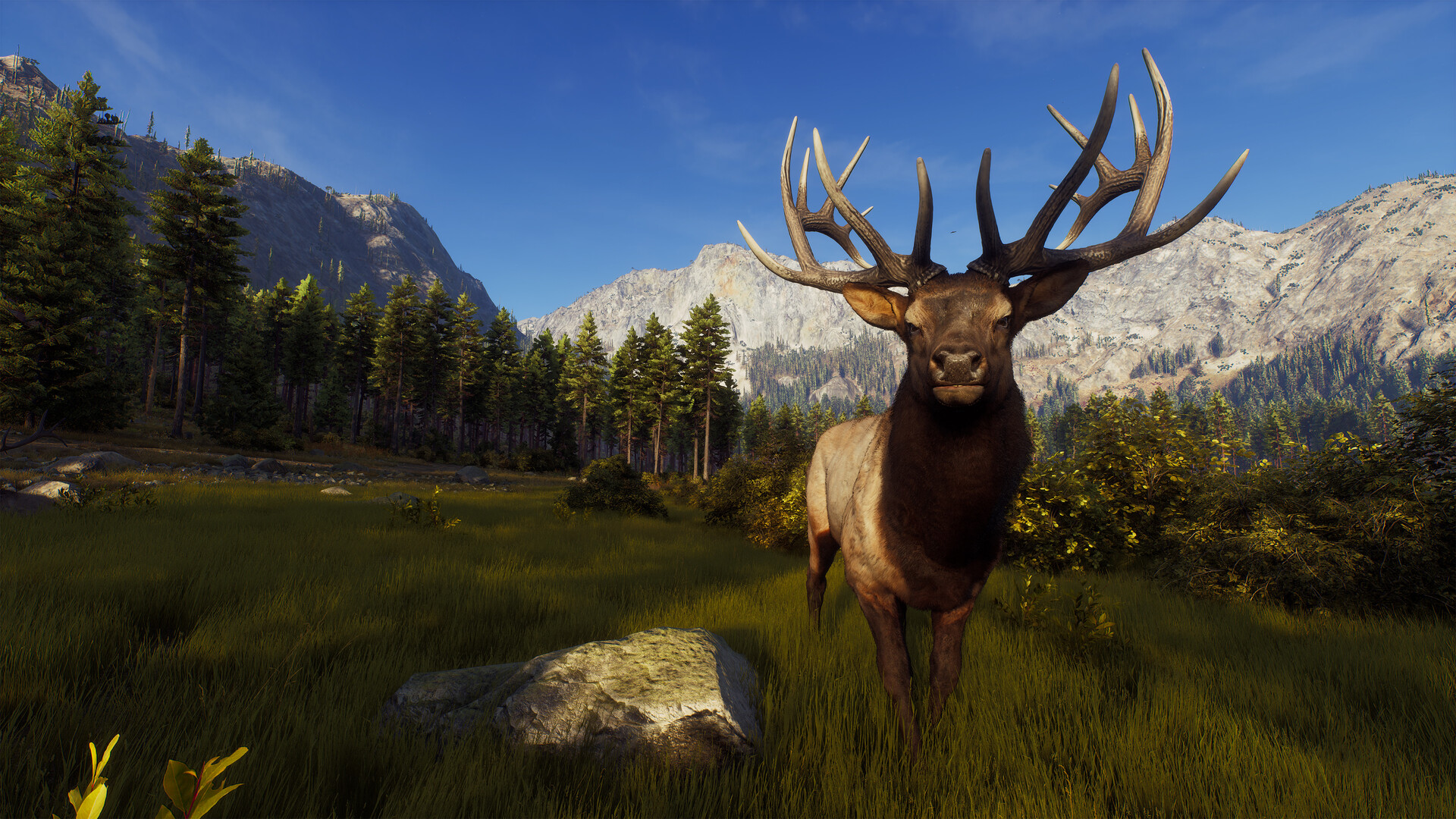 Save 85% on theHunter: Call of the Wild™ on Steam