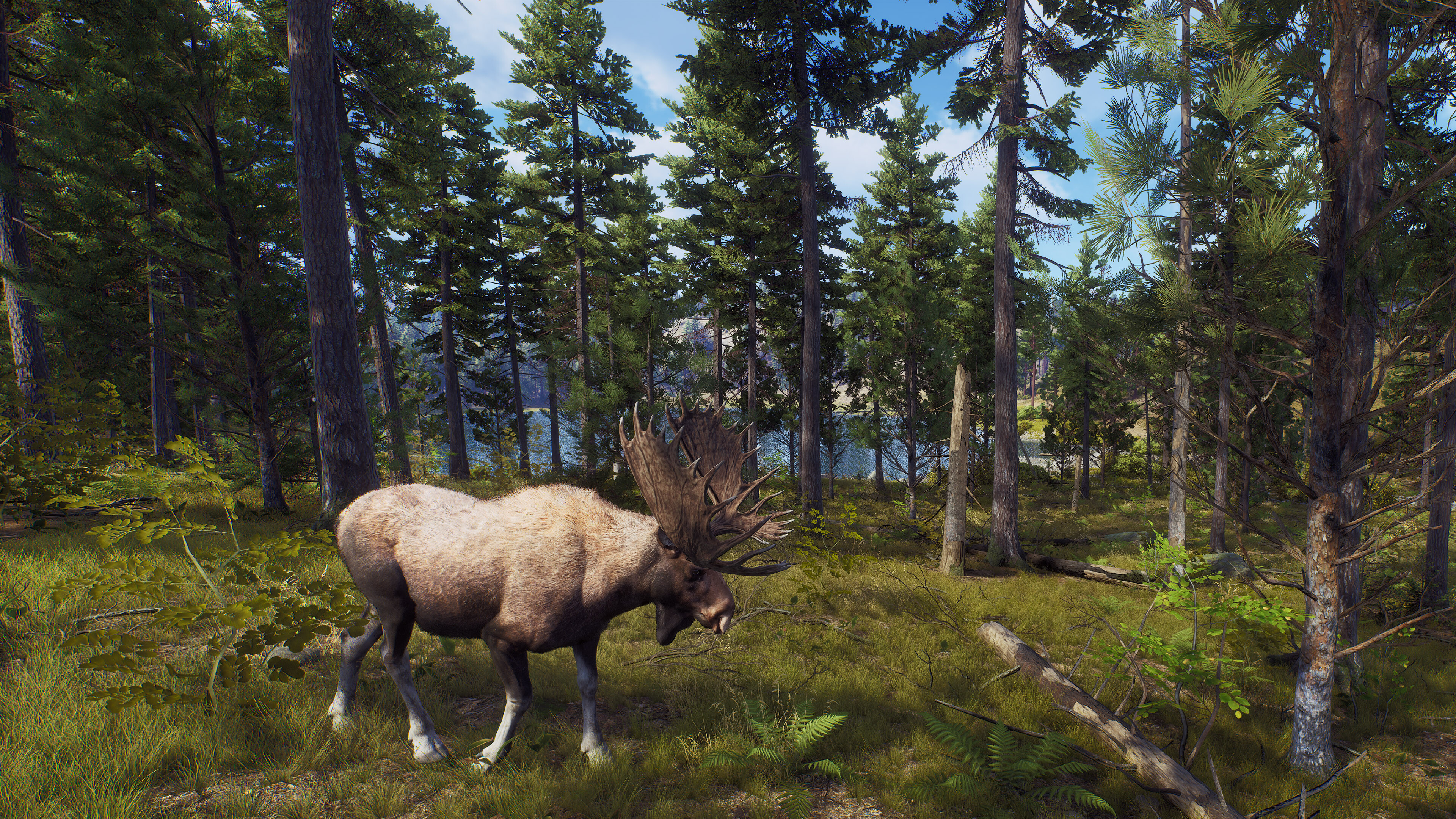 Way of the Hunter Free Download for PC