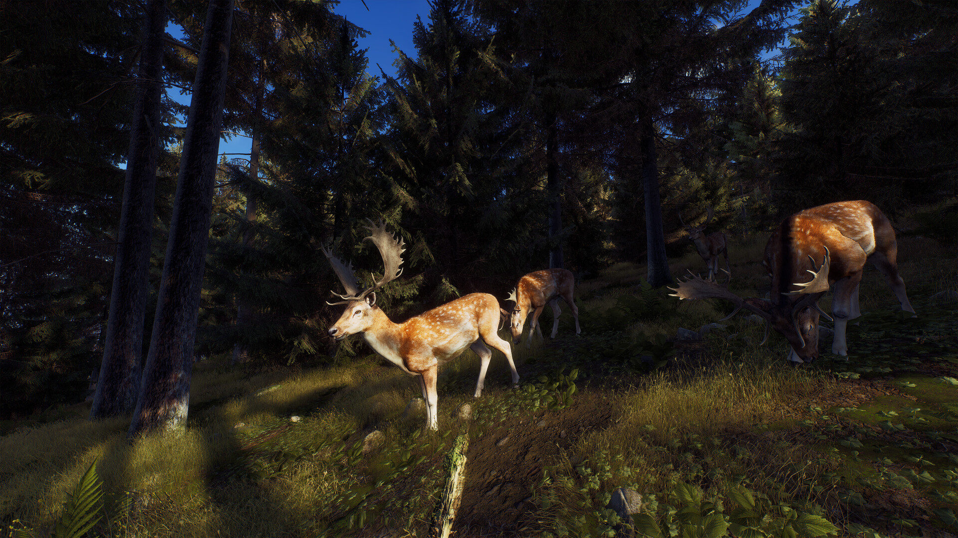 Save 85% on theHunter: Call of the Wild™ on Steam