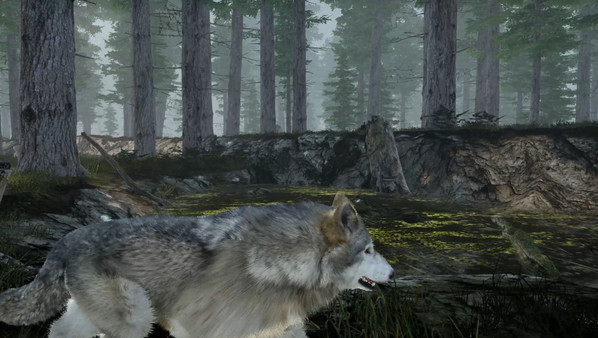 скриншот Tale Of A Wolf 0