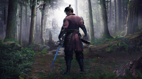 Drunk an iron fist VR game for Linux 1