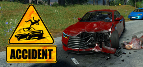 Accident: The Pilot Cover Image