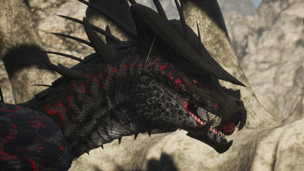 Draconiafor windows and Linux 1