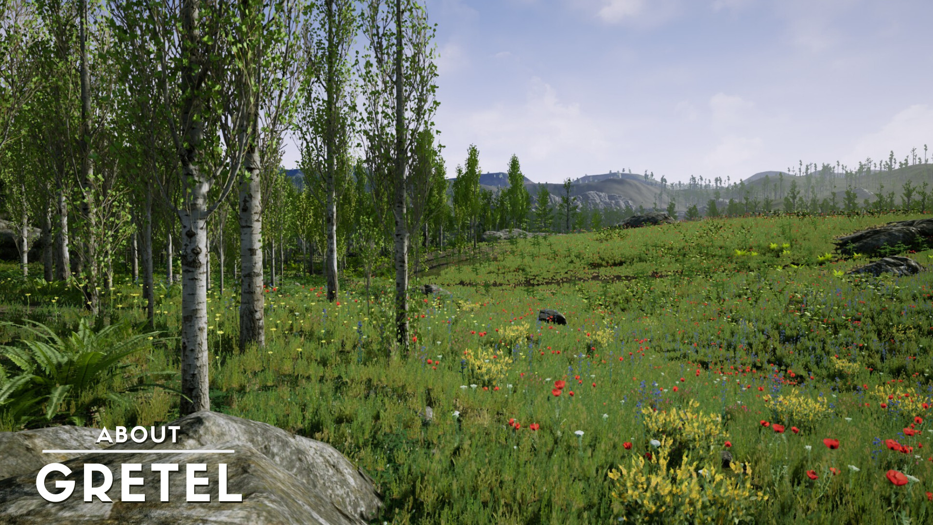 《关于格雷泰尔（About Gretel）》插图6