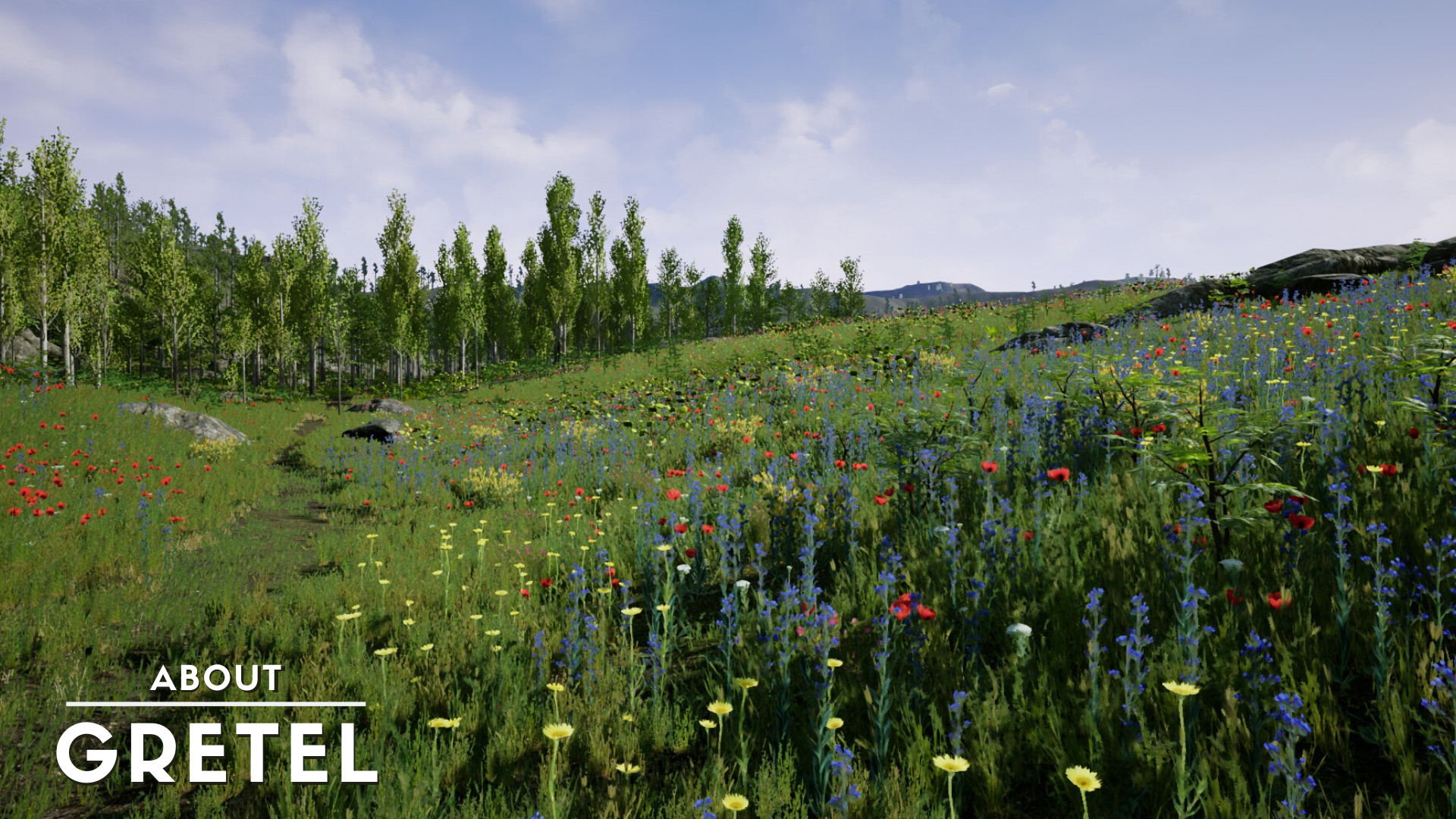 《关于格雷泰尔（About Gretel）》插图7