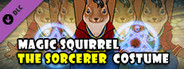 Fight Of Animals - The Sorcerer Costume/Magic Squirrel