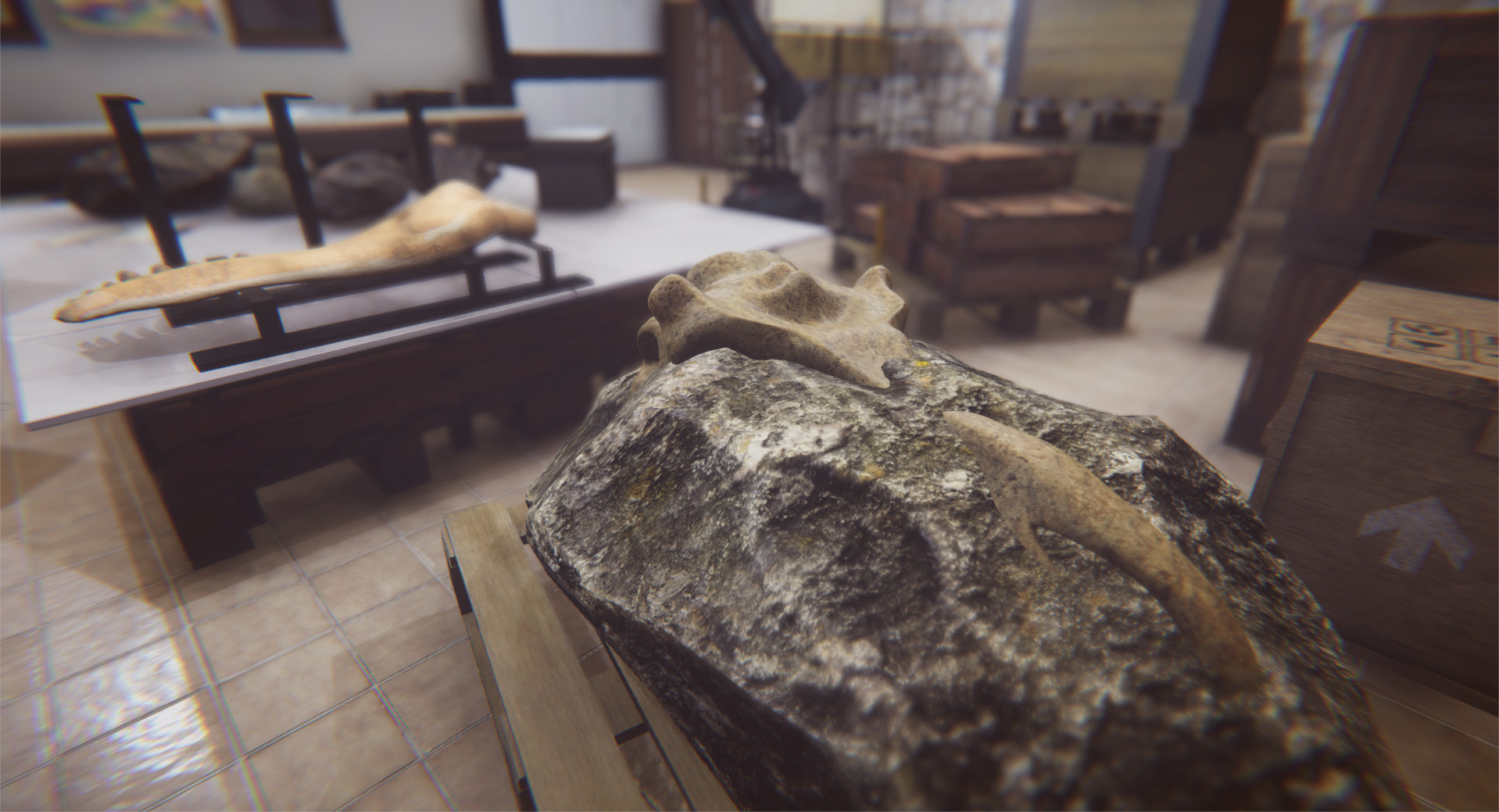 Dinosaur Fossil Hunter Demo #5