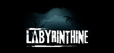 Labyrinthine header image