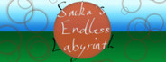 Saiku's Endless Labyrinth