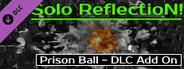 Prison Ball - Solo Reflection! - Add On
