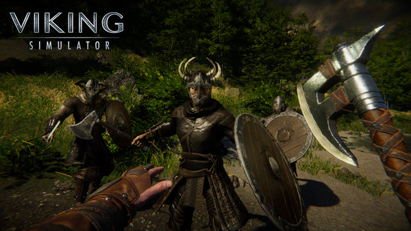 скриншот Viking Simulator 4