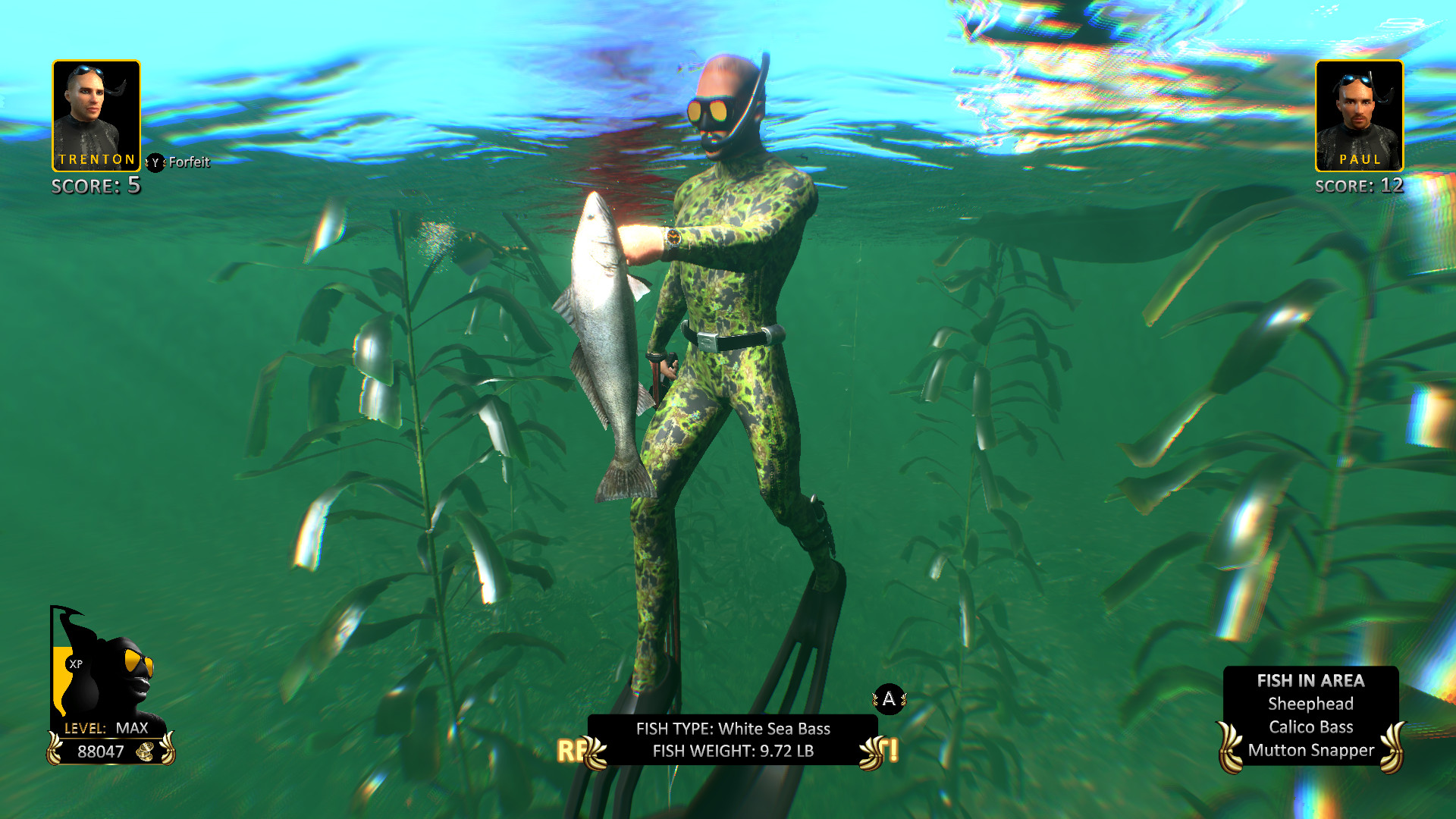 Freediving Hunter : Spearfishing the World Review