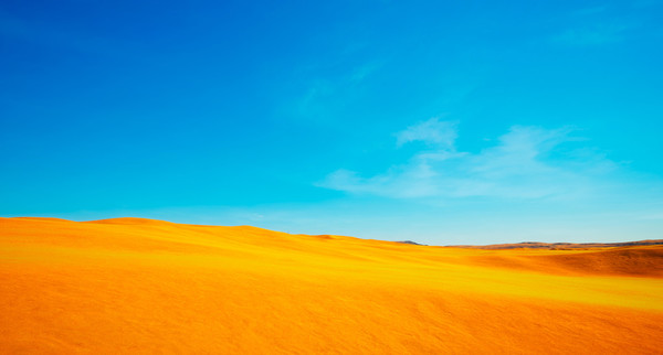 Скриншот из Dangerous Degrees