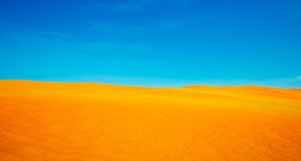 Скриншот из Dangerous Degrees