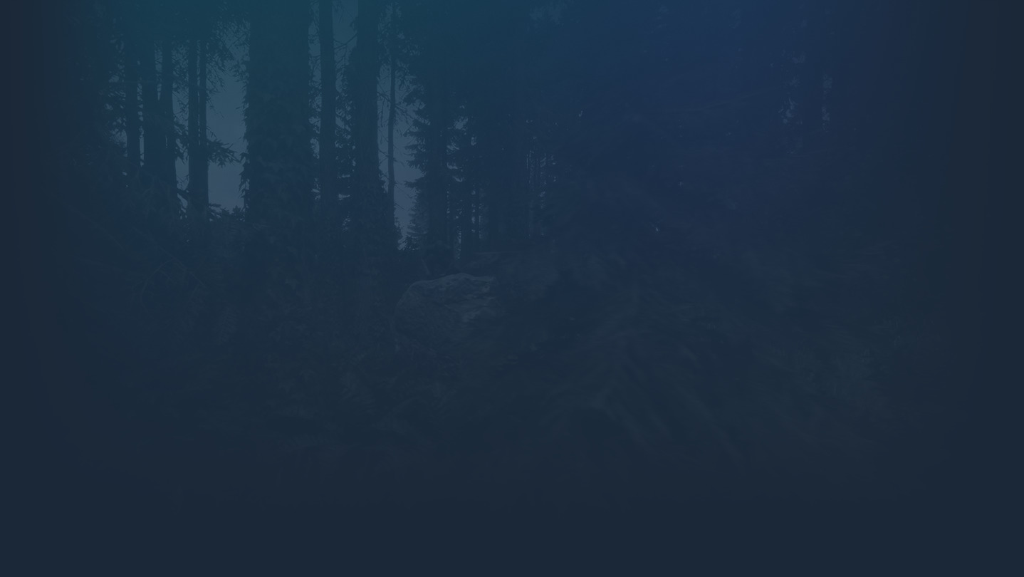 Sons Of The Forest background