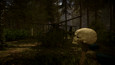 Sons Of The Forest picture3