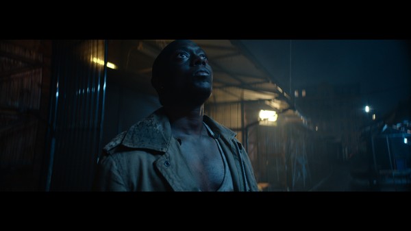 AIDAfor windows and Linux 1