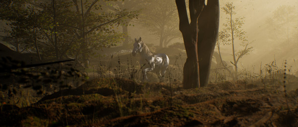 скриншот Lands of Raynar 4