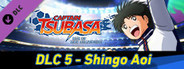 Captain Tsubasa: Rise of New Champions - Shingo Aoi