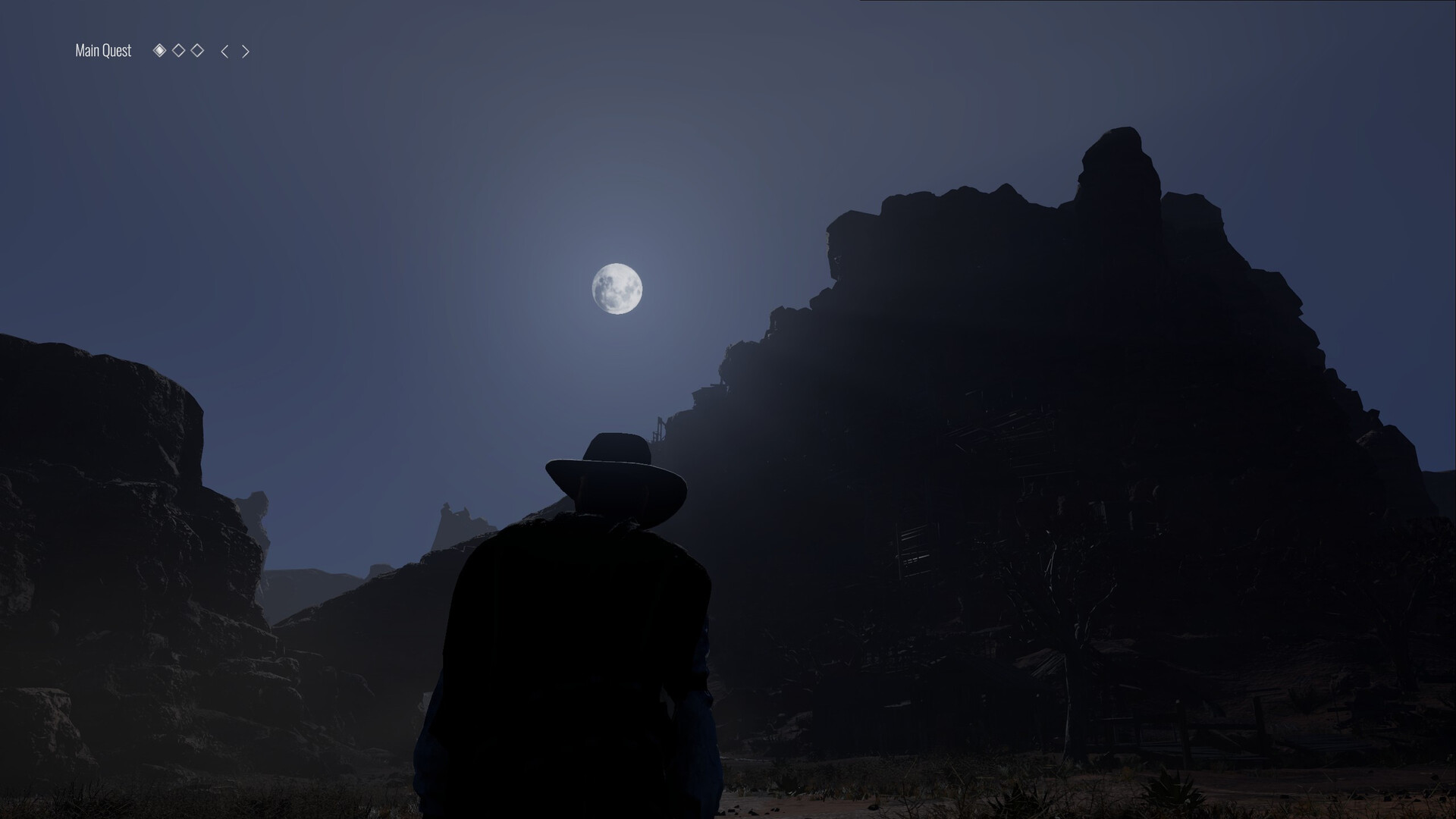 Wild West Dynasty #3