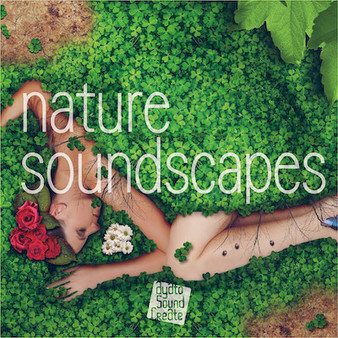 Visual Novel Maker - Nature Soundscapes