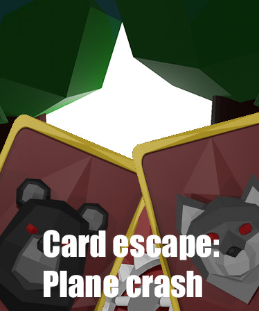 Card escape: Plane crash