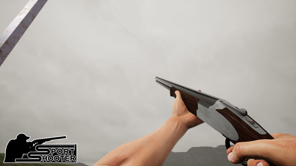 Скриншот из Sport Shooter