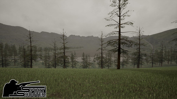 Скриншот из Sport Shooter