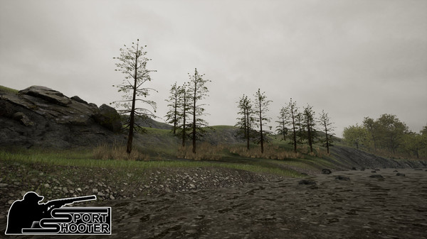 Скриншот из Sport Shooter