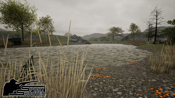 Скриншот из Sport Shooter