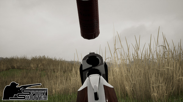 Скриншот из Sport Shooter