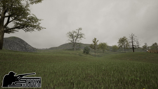 Скриншот из Sport Shooter