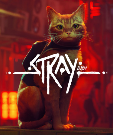 Stray